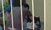 Moarte suspectă. O avocată de 30 de ani, descoperită cu gâtul tăiat în casă (VIDEO)