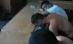 Galaţi. Bătaie între un grup de bărbaţi, înarmaţi cu săbii şi răngi, şi câţiva tineri, oprită de mascaţi (VIDEO)