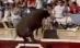 Zeci de răniţi în Spania, după ce un taur a sărit în tribune (VIDEO)