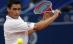 Victor Hănescu deschide întâlnirea România - Ecuador din Cupa Davis