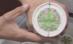 Îngheţată cu marijuana, lansată în scop medical, în SUA - VIDEO
