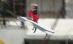 A sărit cu pianul în Dâmboviţa şi şi-a fracturat coloana (VIDEO)