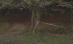 Jandarm din judeţul Cluj, găsit mort la marginea unei păduri (VIDEO)