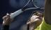 US Open: Andy Murray şi Juan Martin del Potro debutează în forţă