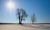 Când vei scoate sania din pod? Află dacă va NINGE de Crăciun din prognoza meteo pe 3 luni