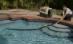 Musafir nepoftit de Crăciun. Vezi ce a găsit o familie de americani în piscină
