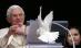 "Vor să rămână în casa Papei!" Vezi ce l-a amuzat pe Suveranul Pontif la final de rugăciune