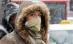 Gerul nu renunţă. După ce a fost îngropată în zăpadă, România va degera din nou la -25 de grade. Vezi prognoza meteo 