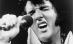 Dinţii de porţelan ai lui Elvis vor fi scoşi la licitaţie