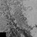 Noi imagini spectaculoase cu planeta Pluto 327869