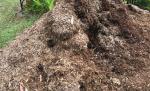 Puteți zări șarpele în această grămadă de gunoi? Toți au picat testul (FOTO) Puteți zări șarpele în această grămadă de gunoi? Toți au picat testul (FOTO)