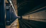 Incident șocant în Londra. Un bărbat, călcat de sute de ori de metrou fiindcă supraveghetorul a crezut că e o vulpe Incident șocant în Londra. Un bărbat, călcat de sute de ori de metrou fiindcă supraveghetorul a crezut că e o vulpe