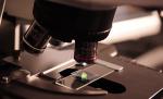Trei studenți, uciși în laborator în timp ce făceau un experiment Trei studenți, uciși în laborator în timp ce făceau un experiment