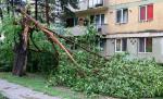 Alertă METEO. E cod galben de vânt puternic. Zonele afectate Alertă METEO. E cod galben de vânt puternic. Zonele afectate