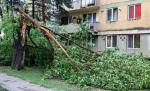 Alertă METEO. E cod galben de vânt puternic. Zonele afectate Alertă METEO. E cod galben de vânt puternic. Zonele afectate