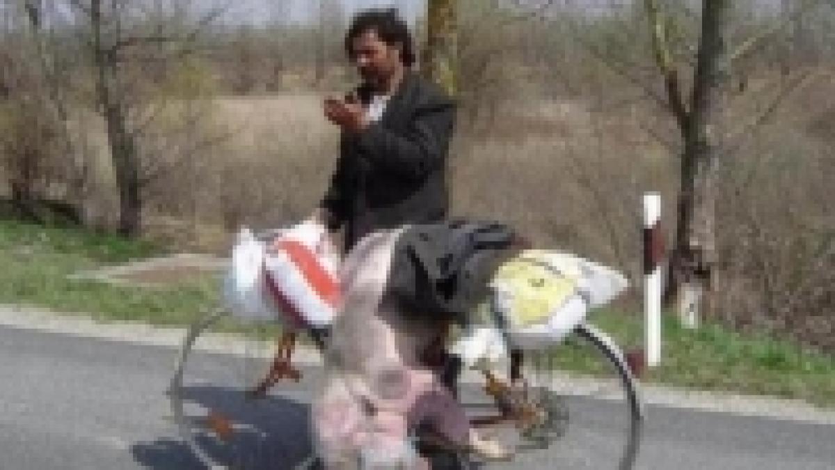 traim in romania imagini amuzante