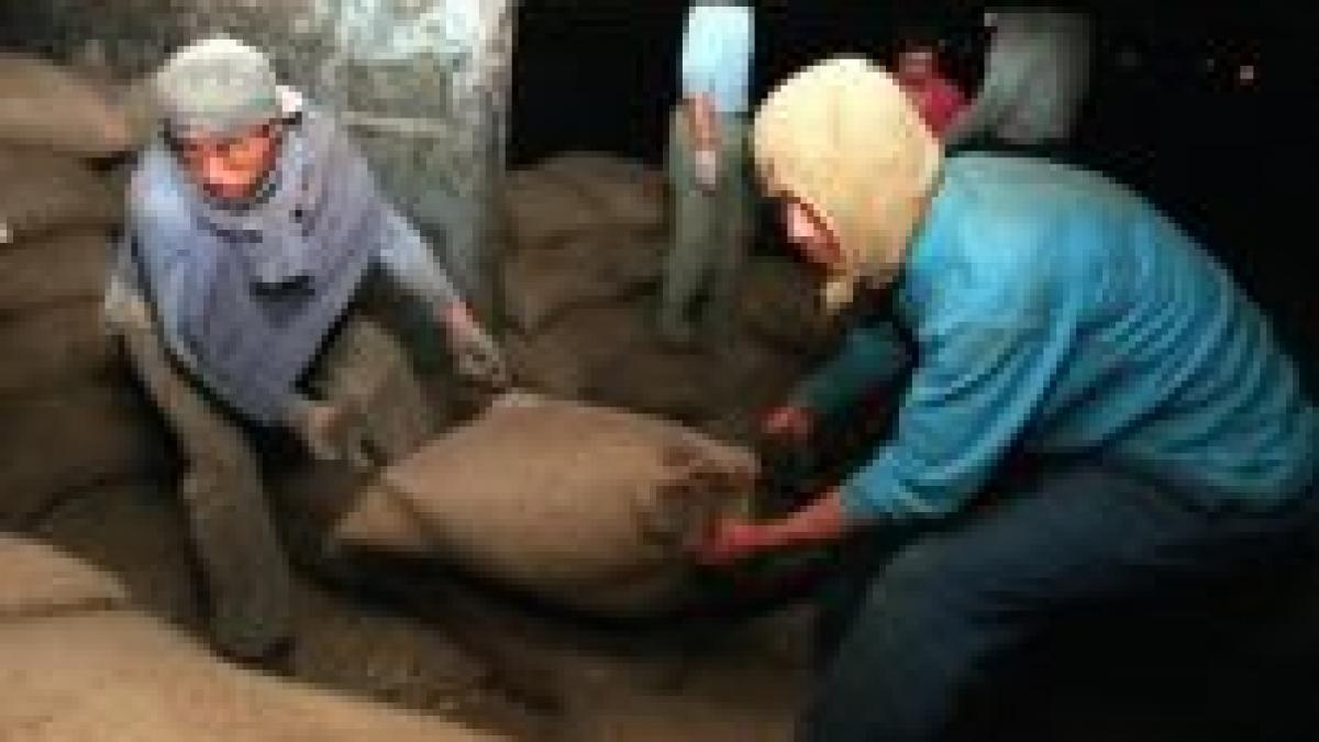 nord coreenii sunt ca sclavii in romania