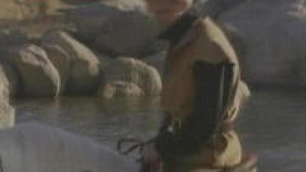 printul david beckham pozeaza pentru disney