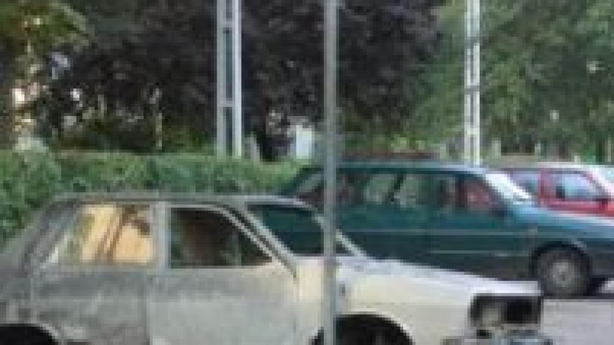 bucuresteni atentie se ridica rable