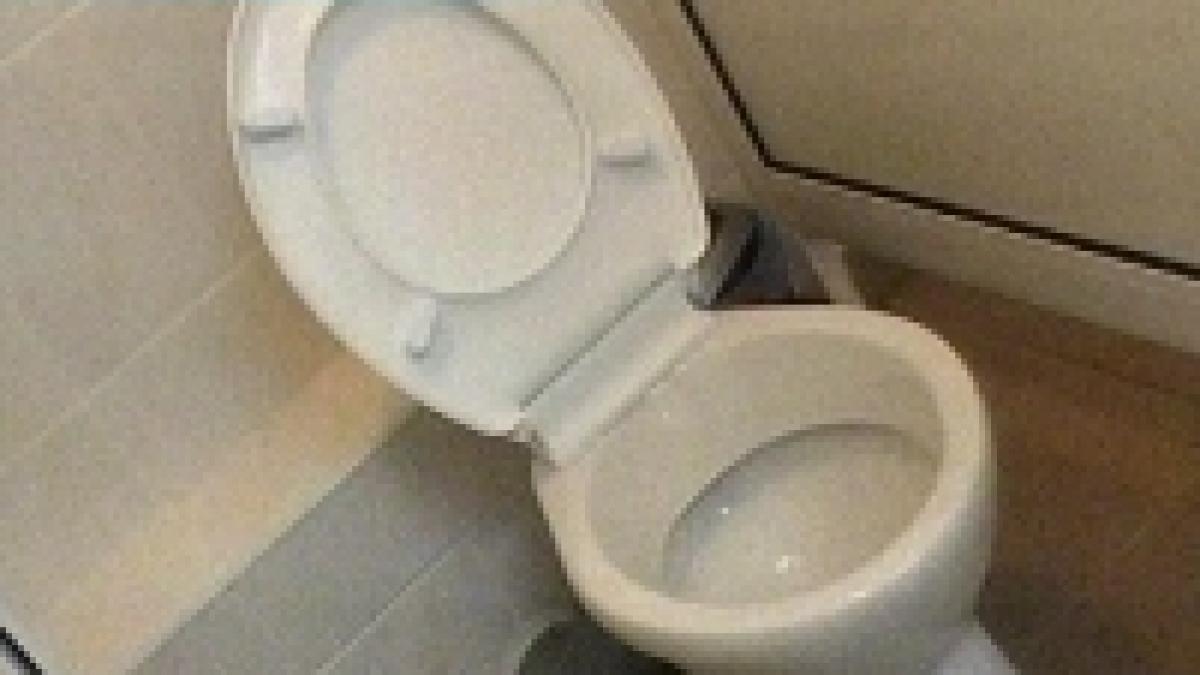 100.000 de euro pentru o toaletă publică!
