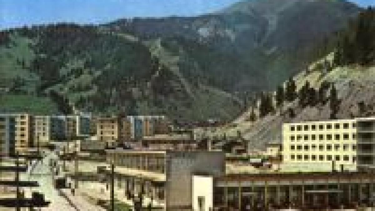 borsa bataie pentru o bucata de salam