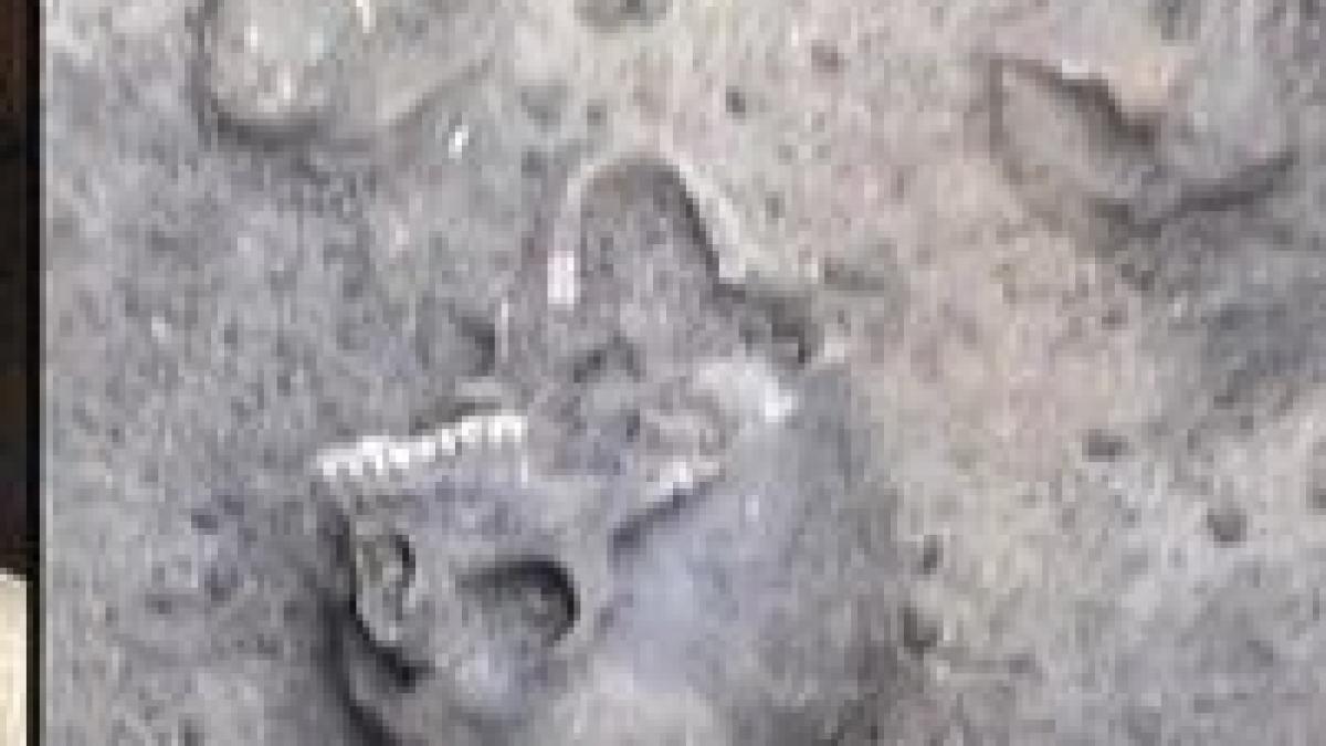 cluj napoca descoperire arheologica impresionanta