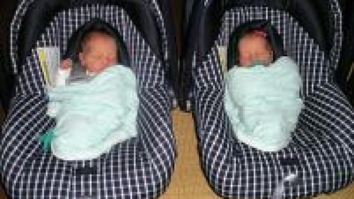 trasaturile comportamentale sunt mostenite