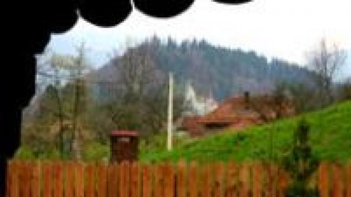 strainii ne cumpara tara la pret de nimic