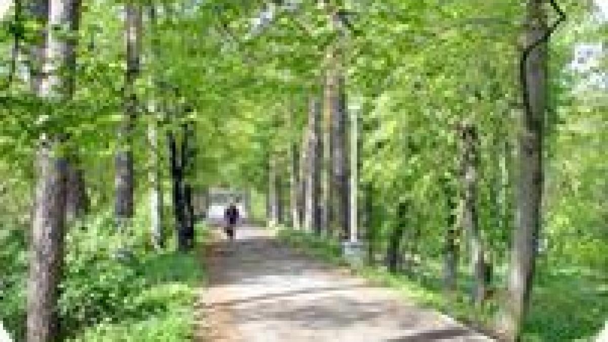 disneyland in miniatura la sibiu