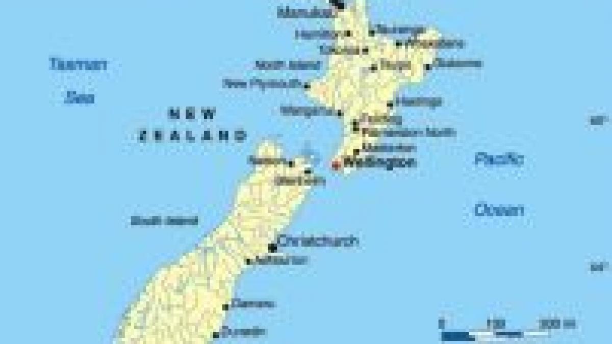 noua zeelanda grav accident rutier