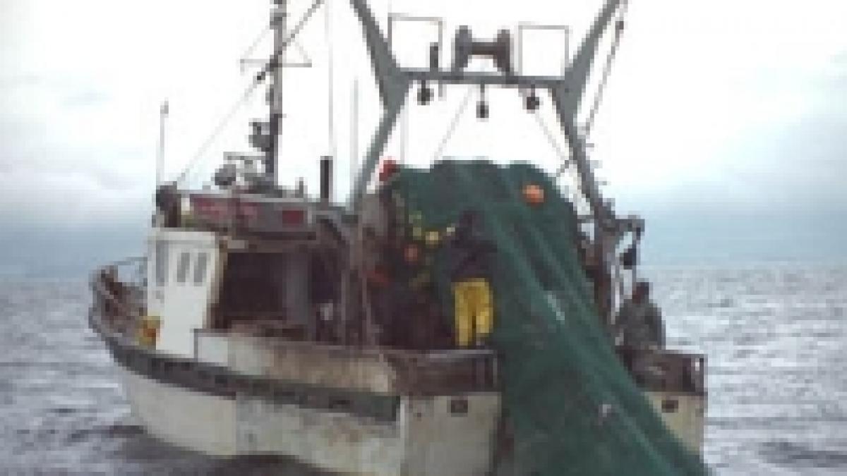 braconieri turci arestati in apele romaniei