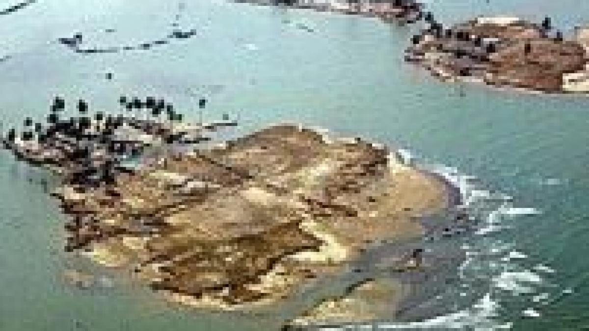 jakarta au trecut apele au ramas bolile