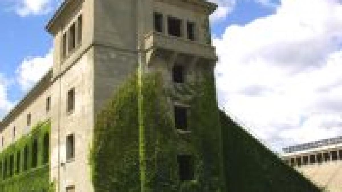 premiera o femeie la carma harvard