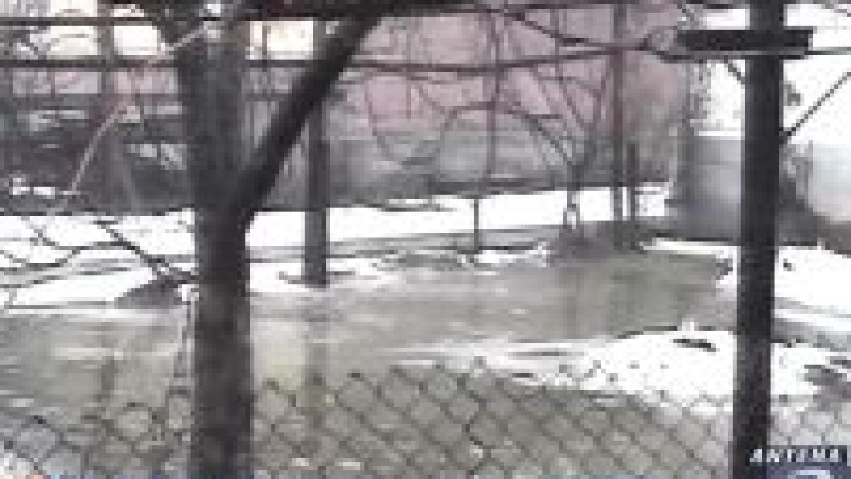 scoli inchise din cauza inundatiilor