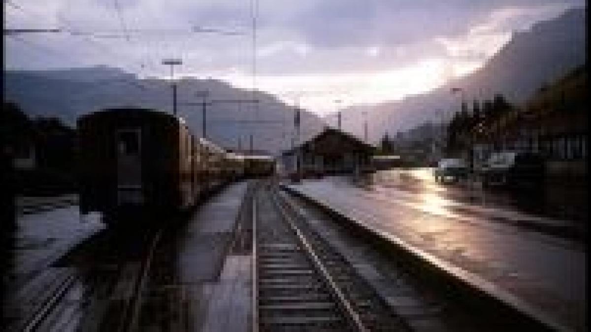 elvetia tren oprit de frica unui roman