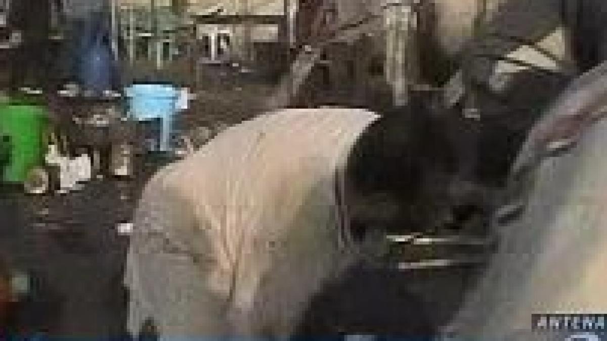 atentat in iran soldat cu 18 morti