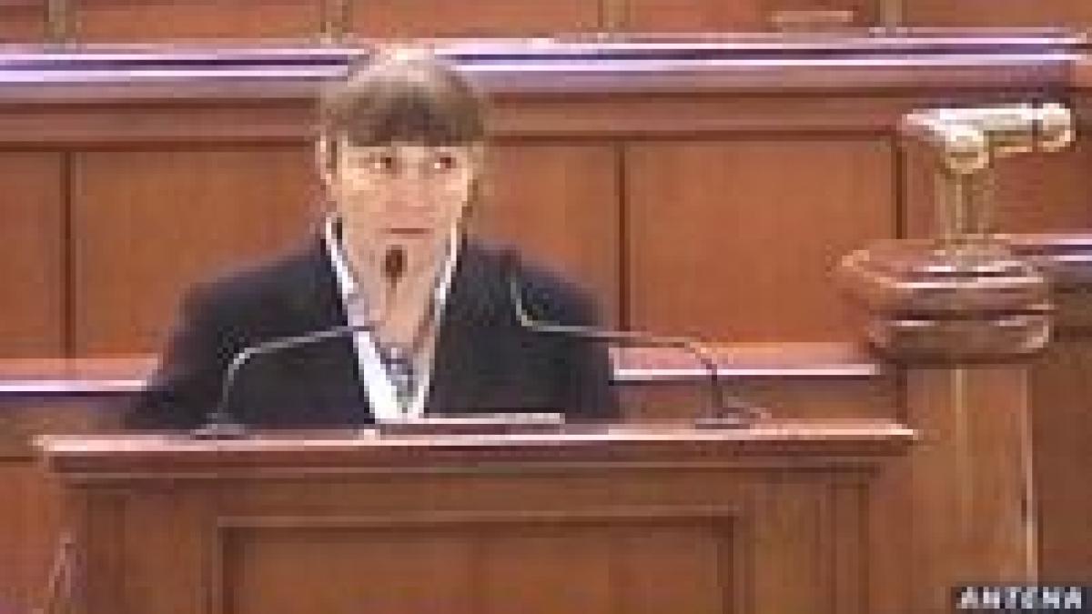 macovei la mana curtii constitutionale