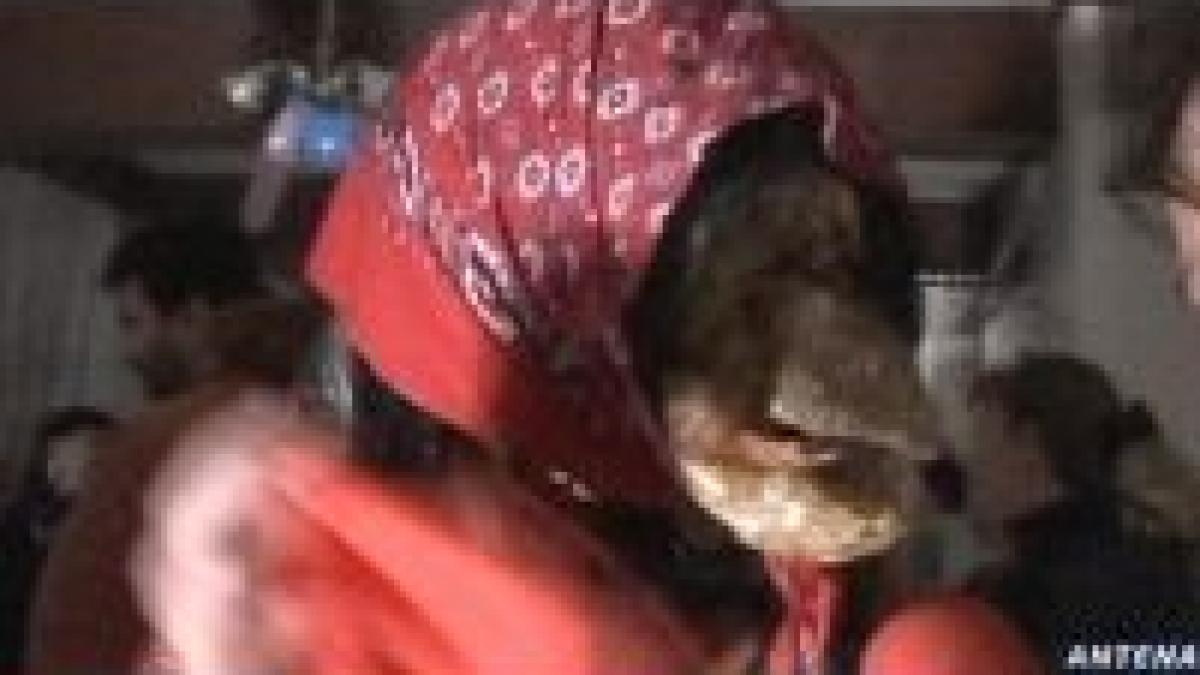 carnavalul zapezii sarbatorit la balea cascada