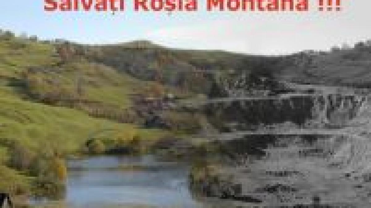 rosia montana se inchid 251 de sonde