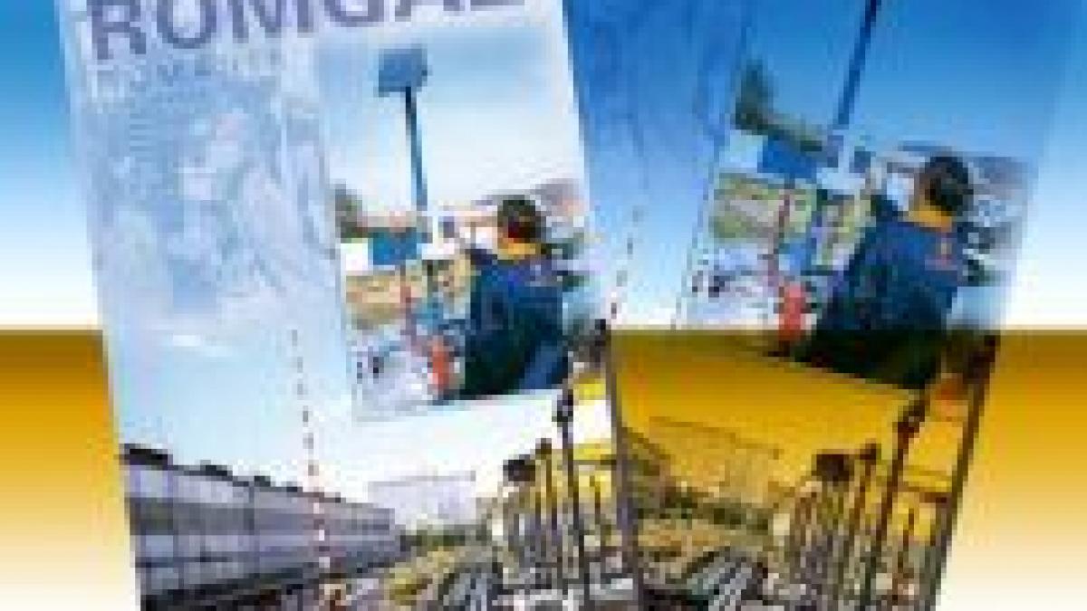 privatizarea romgaz abia dupa 2008