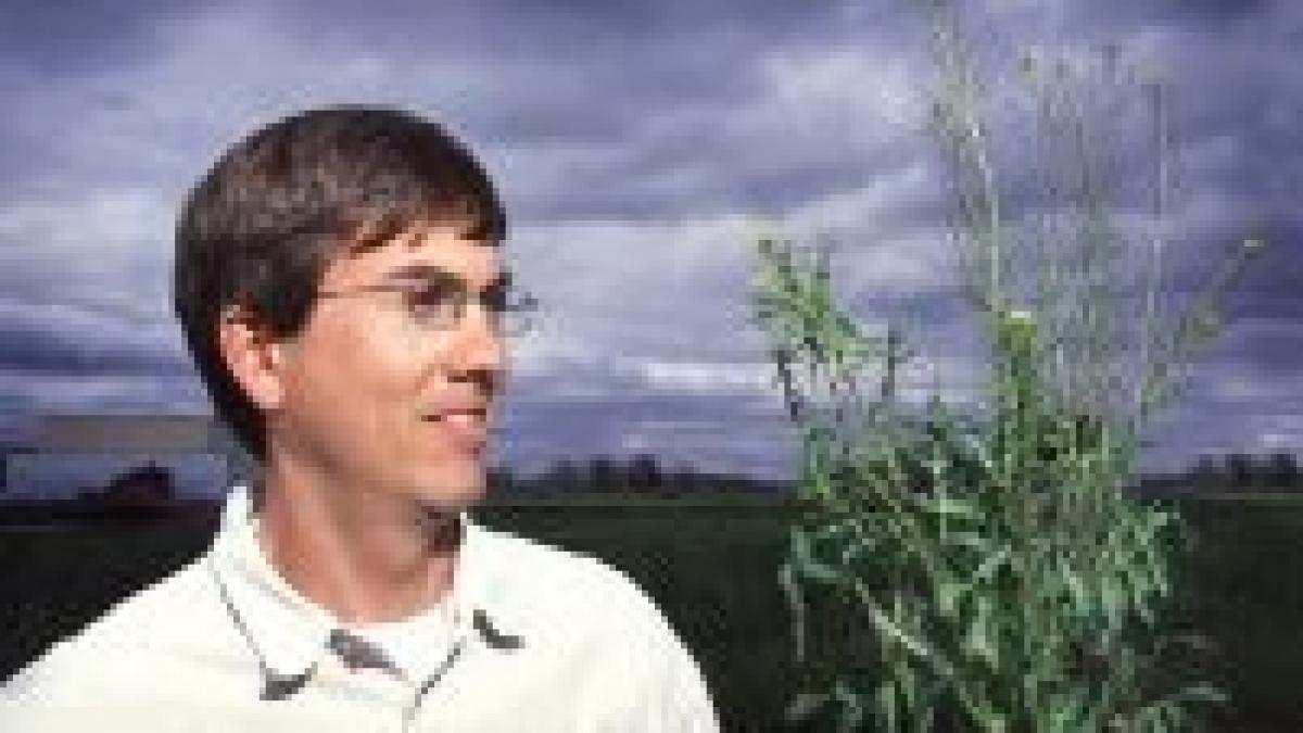 10 000 de job uri pentru romani bulgari