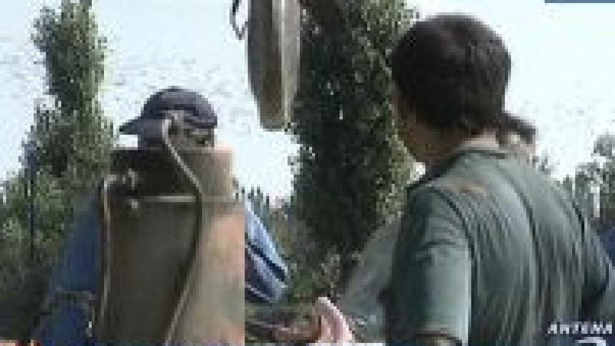 cartierul anl din henri coanda prada unei tepe