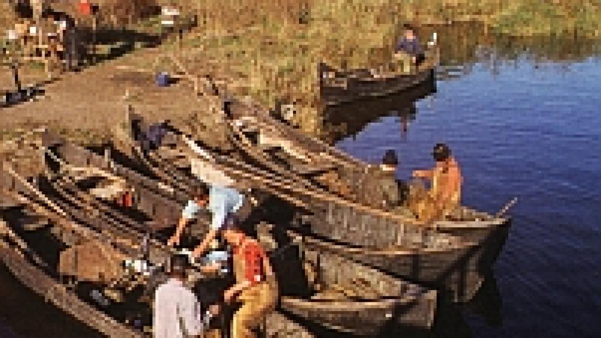 avem brand de tara romania fabulospirit