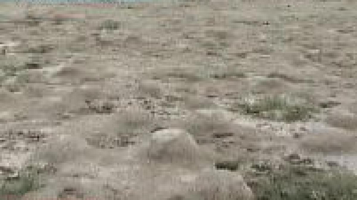 in 20 de ani un sfert din romania va fi desert