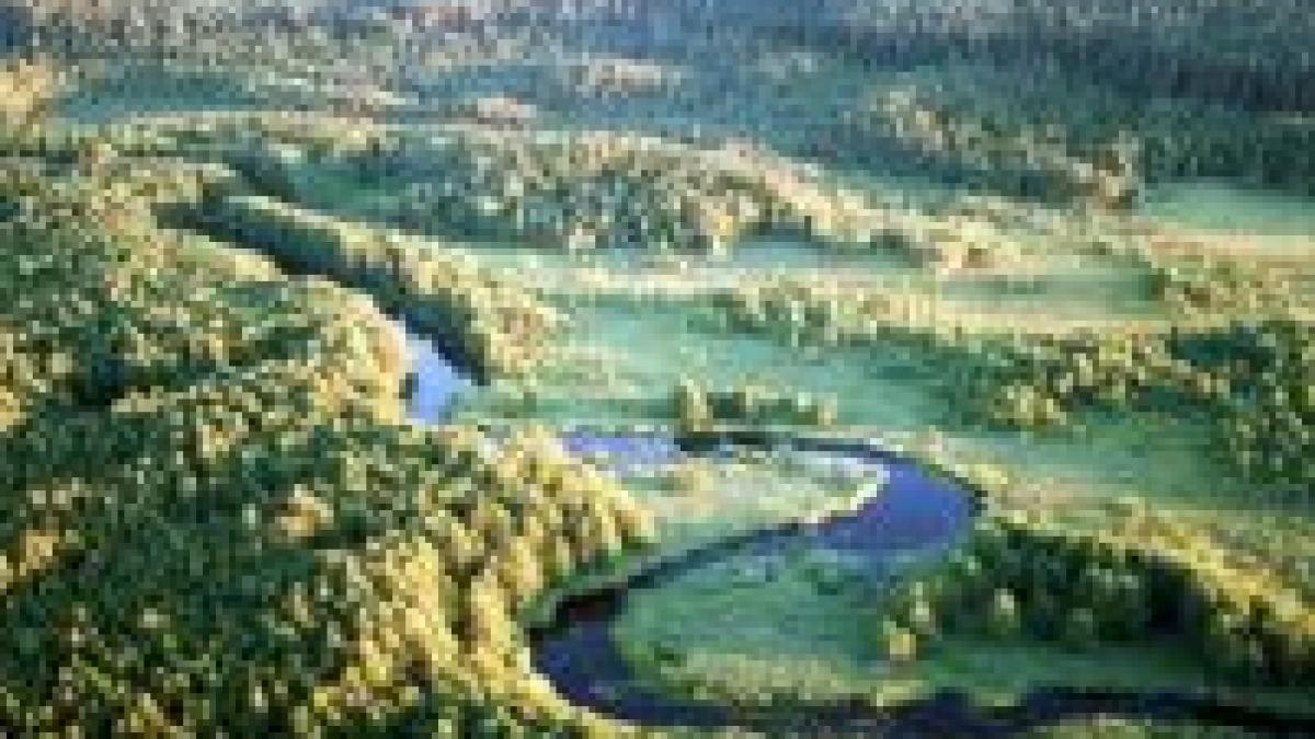 polonia autostrada in rezervatie naturala