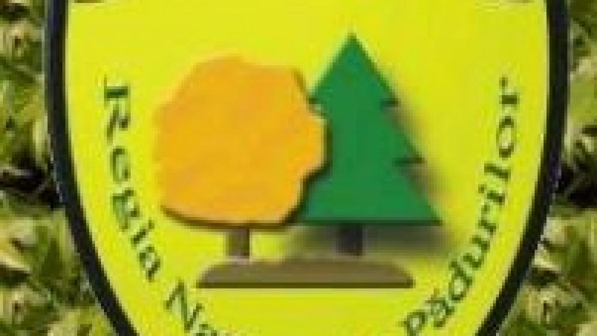 directorul de la romsilva a demisionat