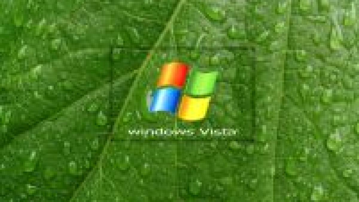 protest fata de pretul piperat al vista