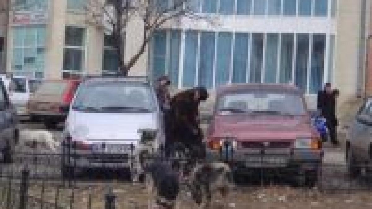 hingherii eutanasiaza animale pe bani privati