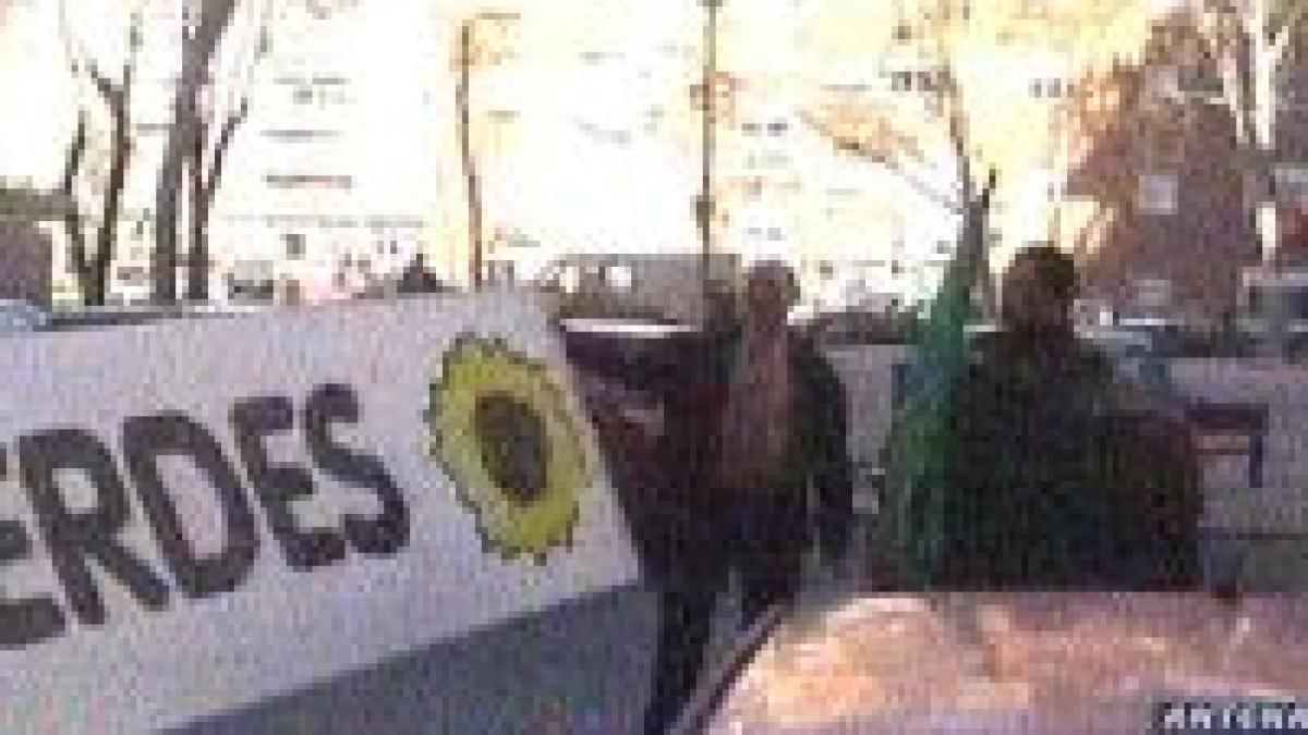 Românii vor să facă politică în Spania