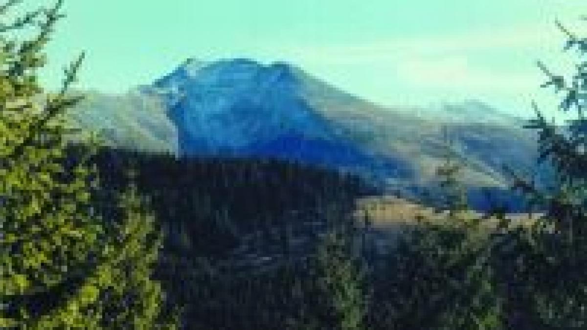 un sarpe de 8 metri a speriat un sat intreg